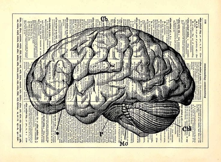 437 best images about Brain on Pinterest | Your brain, Brain ... | Antique  books, Vintage dictionary, Book art