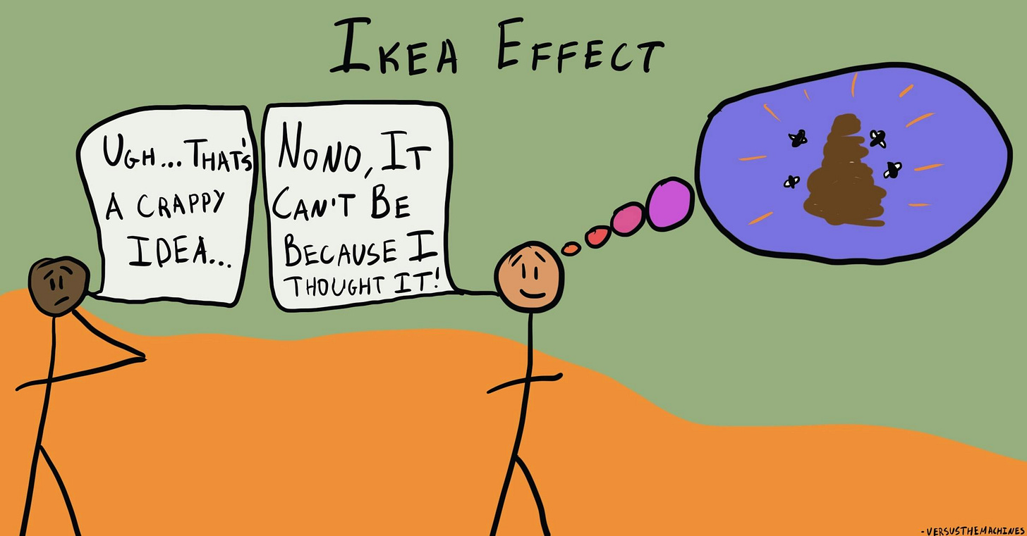 IKEA effect