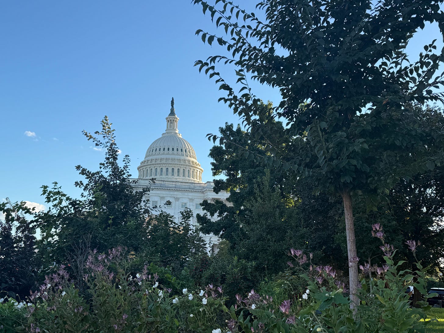 The U.S. Capitol building in Washington. D.C., is pictured on Wednesday, Oct. 8, 2025. The U.S. Capitol building in Washington. D.C., is pictured on Wednesday, Oct. 8, 2025.