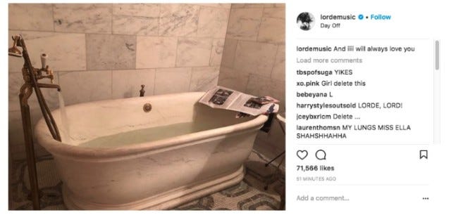 lorde whitney houston bathtub snap controversy lorde whitney houston bathtub snap controversy