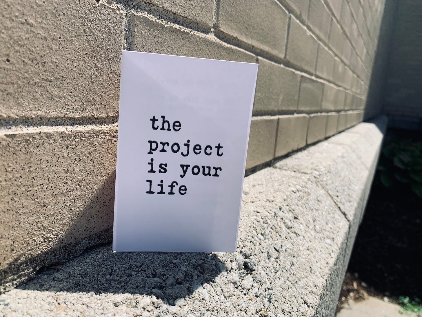 A zine resting next to a brick wall, titled "The Project Is Your Life"
