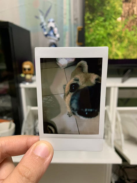Instax Mini LiPlay camera