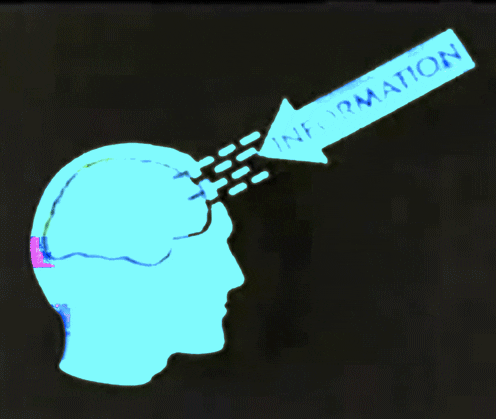 Studying College Life GIF Studying College Life GIF