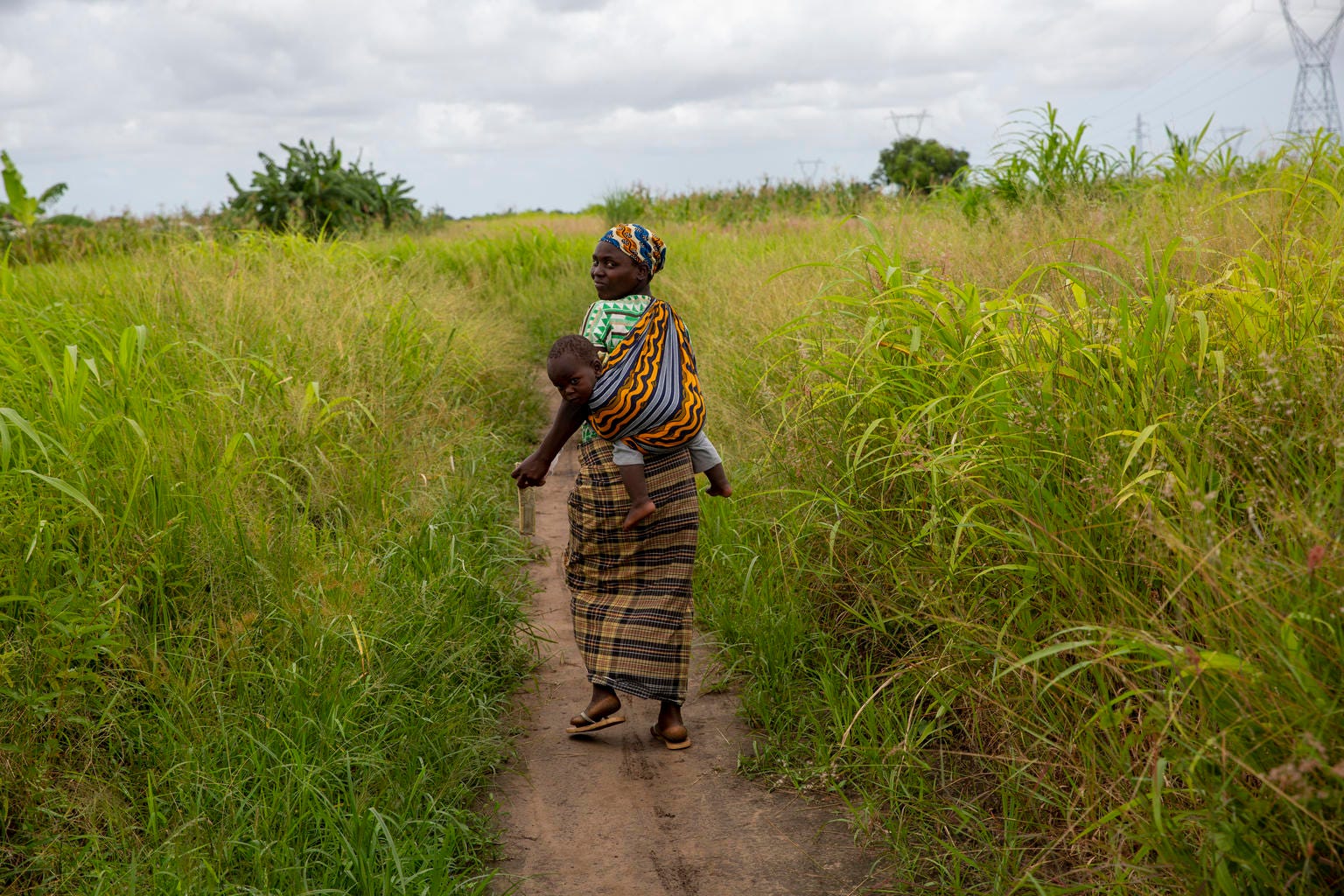 EarthStuff - National-Scale Field Delineation In Mozambique Refines Our Understanding Of Cropland Distribution, Field Size, And Deforestation Actors