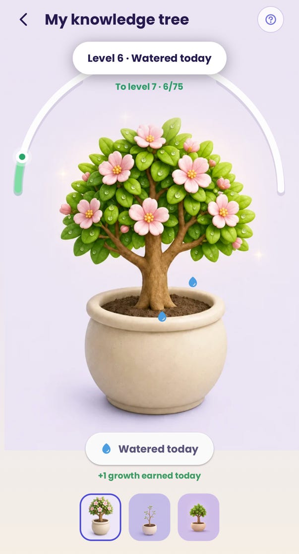 The Astra Trainer knowledge tree in the app, a flowering plant in a pot at level six, watered today. The Astra Trainer knowledge tree in the app, a flowering plant in a pot at level six, watered today.
