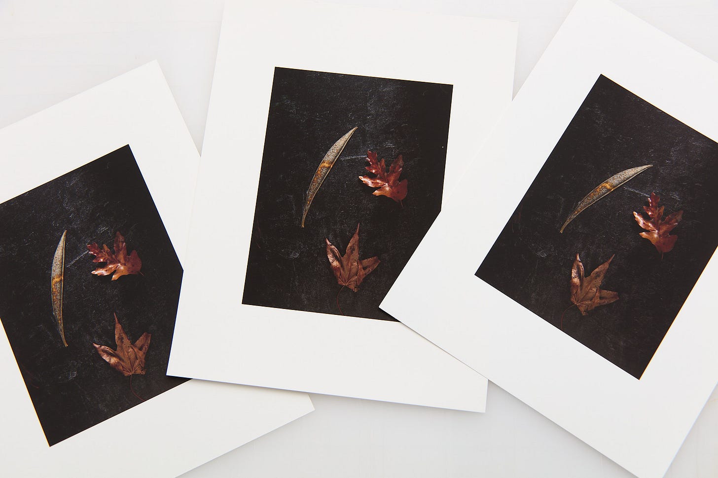 Canson and Hahnemuhle baryta matte vs Moab Entrada