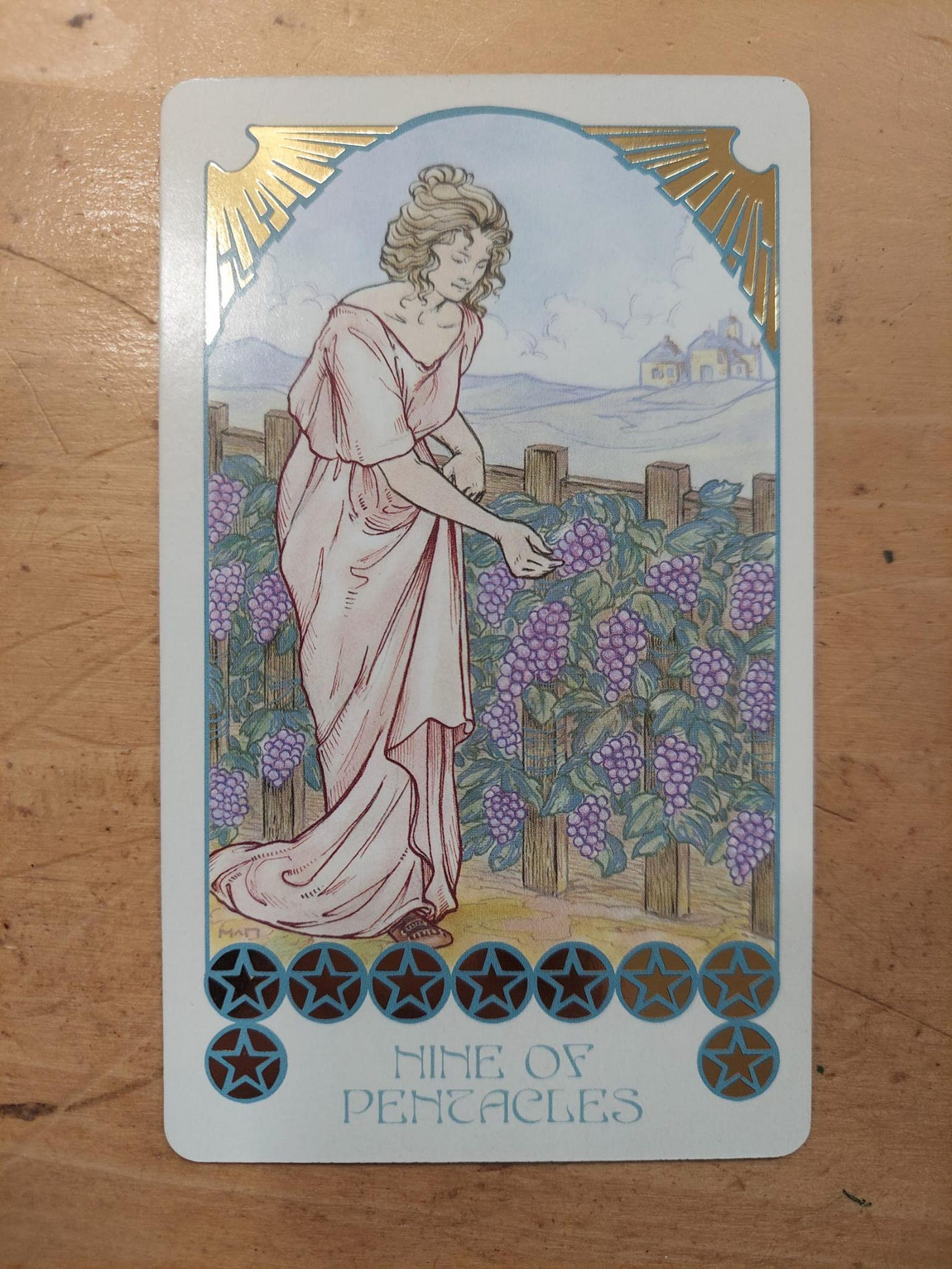 The Nine of Pentacles card on a light wooden table The Nine of Pentacles card on a light wooden table