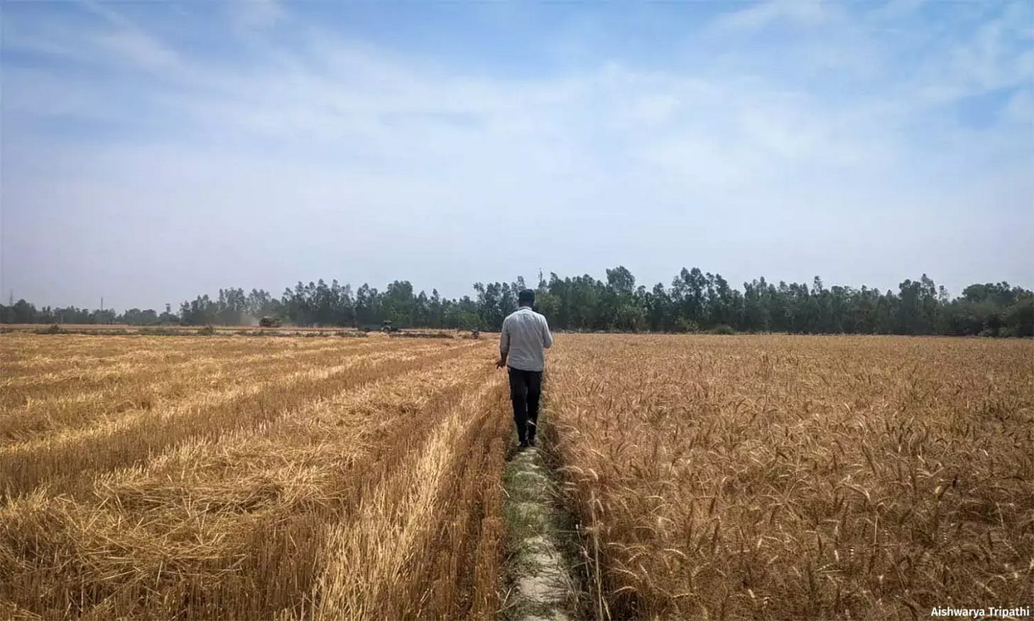 Why Farmers Need To See The Money To Stay In Carbon Farming