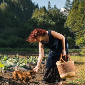 Dishin’ It Up, with Michele Anna Jordan 