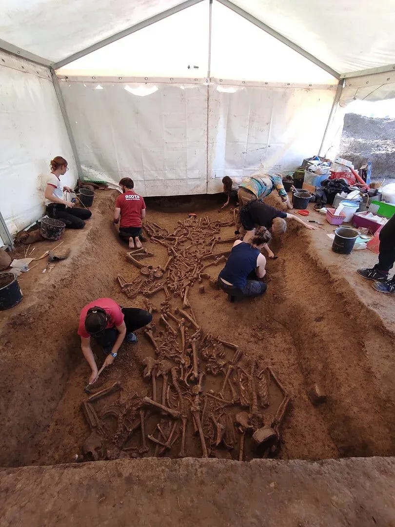 Archaeologists excavating skeletons at the site of Vráble in Slovakia. Archaeologists excavating skeletons at the site of Vráble in Slovakia.