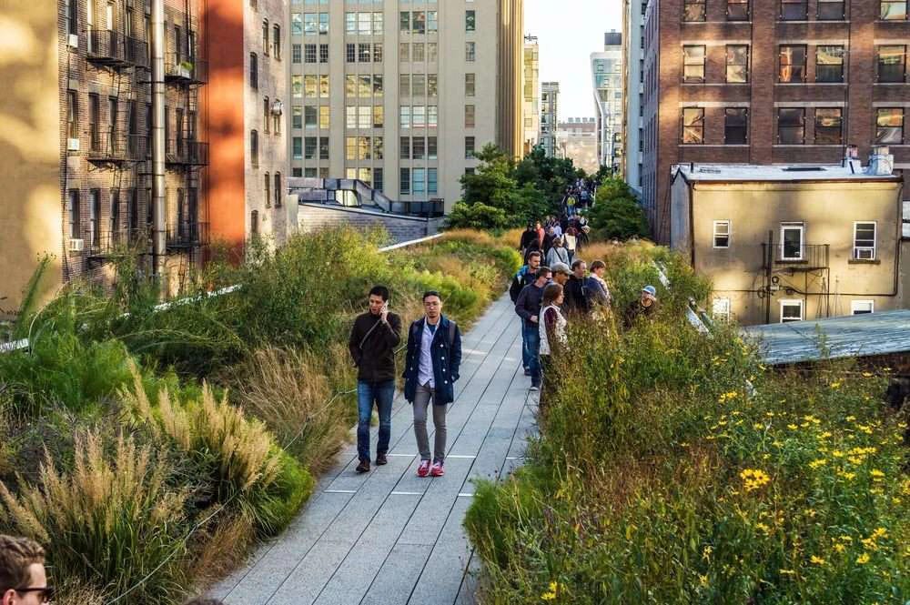 highline highline