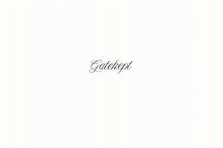 Gatekept | Morgan Vogel | Substack