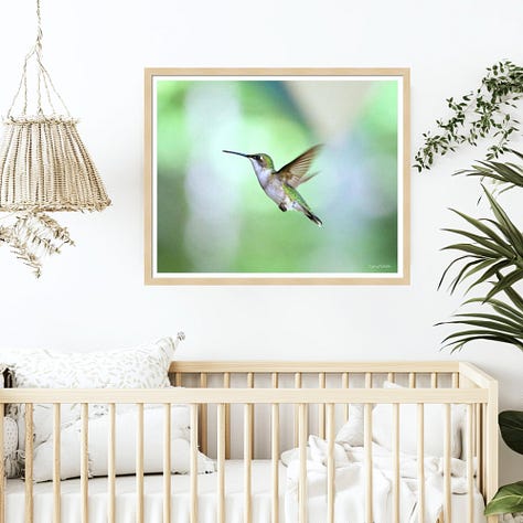 A gallery of three images shows custom-print products from the Sydney Michalski print gallery on Pixels.com, featuring the Split Second hovering hummingbird image in wall art, on a coffee mug, and on a spiral notebook.