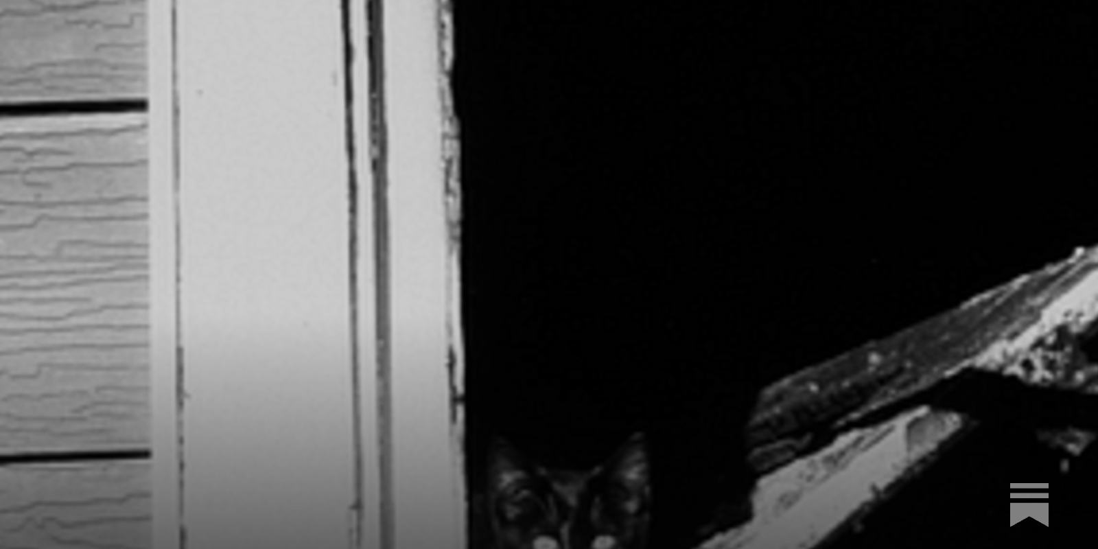 https://www.experimental-history.com/p/an-invitation-to-a-secret-society?open=false social preview image