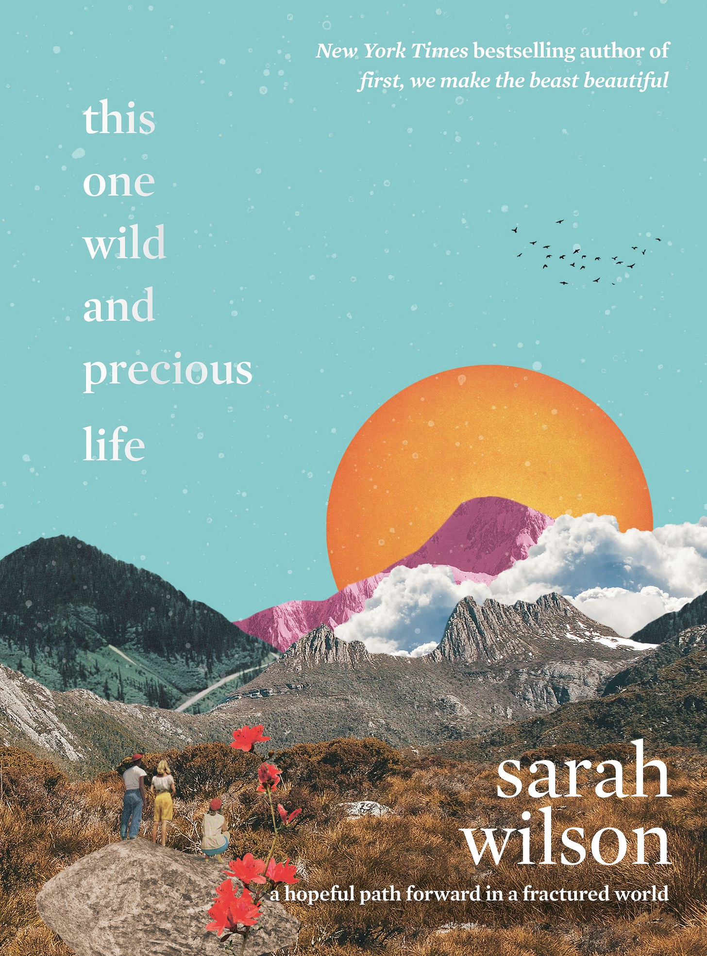 This One Wild and Precious Life: A Hopeful Path Forward in a Fractured World  by Sarah Wilson | Goodreads