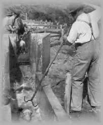 A person holding a hoe

AI-generated content may be incorrect.