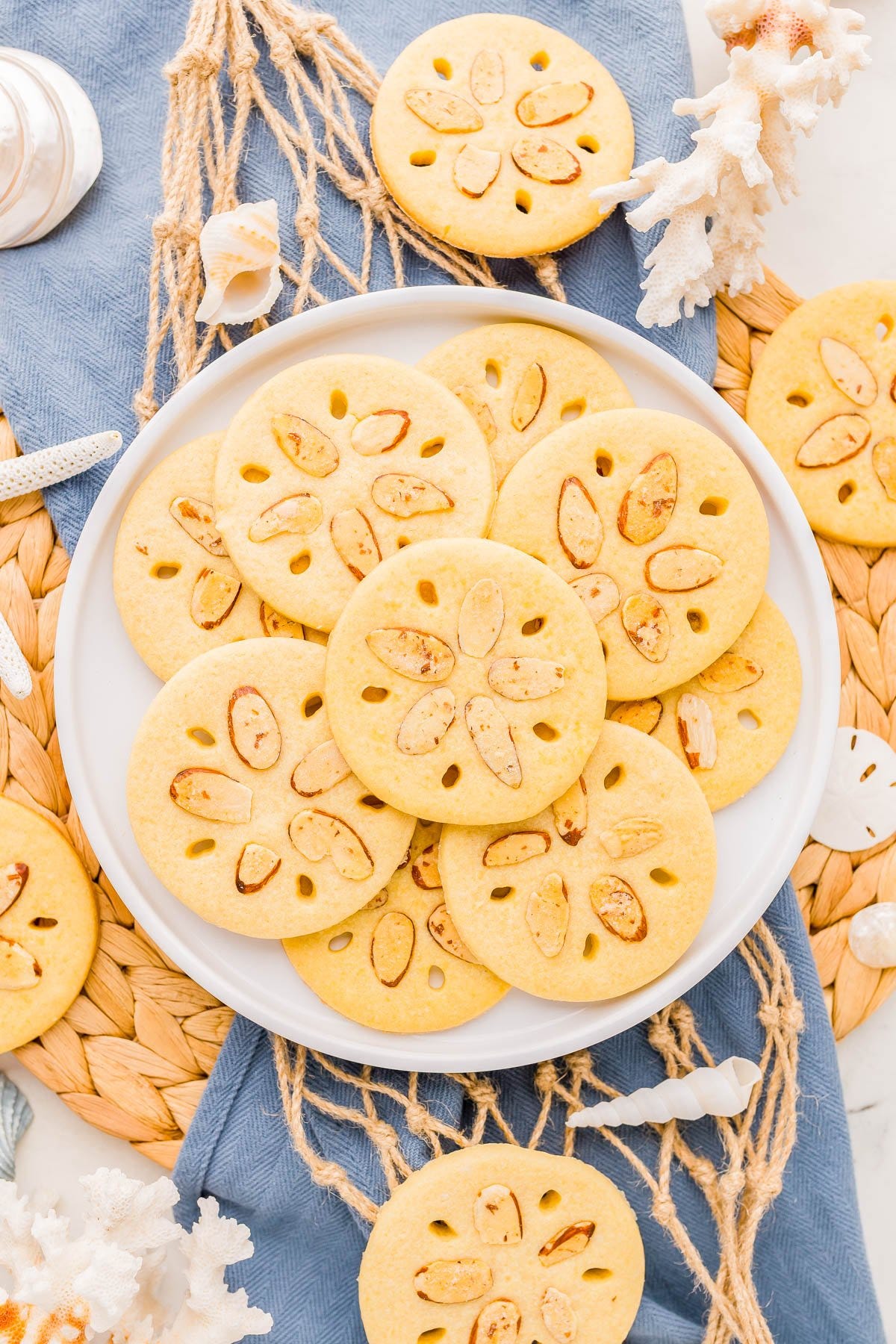 A plate of round cookies decorated to look like sand dollars, arranged on a blue cloth with seashells and decorative coral nearby. A plate of round cookies decorated to look like sand dollars, arranged on a blue cloth with seashells and decorative coral nearby.