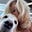 Tammy Blakley's avatar