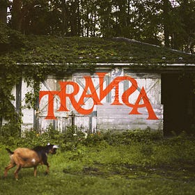 The Radical Hope of TRAИƧA