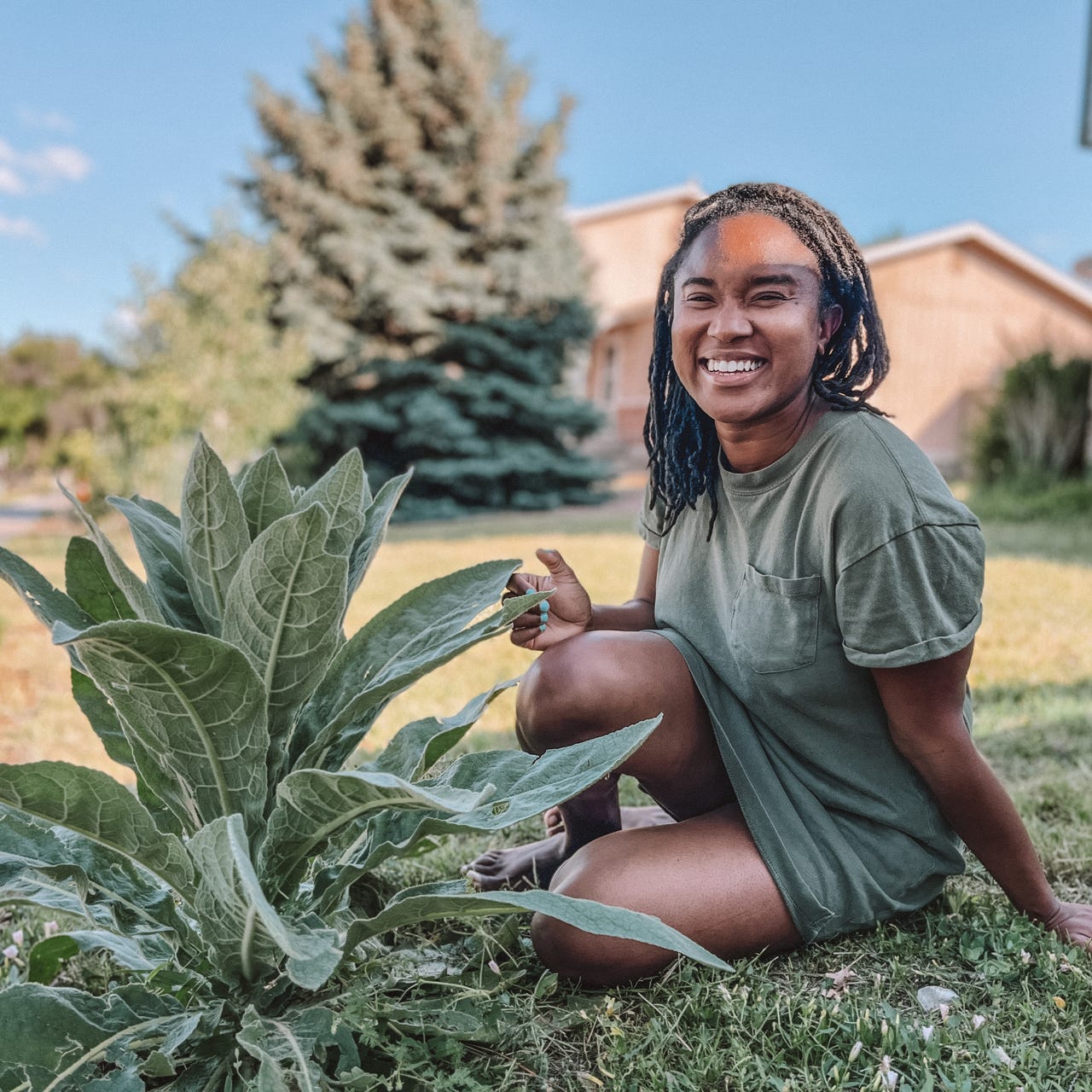 In the Company of Plants \ud83c\udf3a