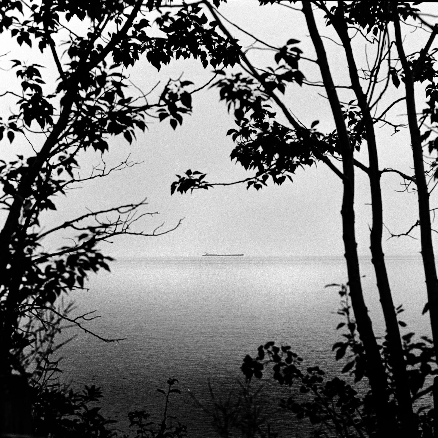 Freighter on the horizon
