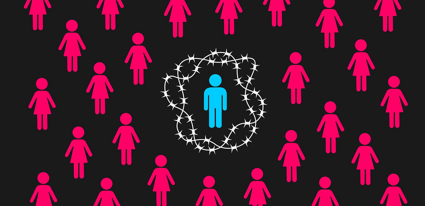 Misogynist Incels and Male Supremacism