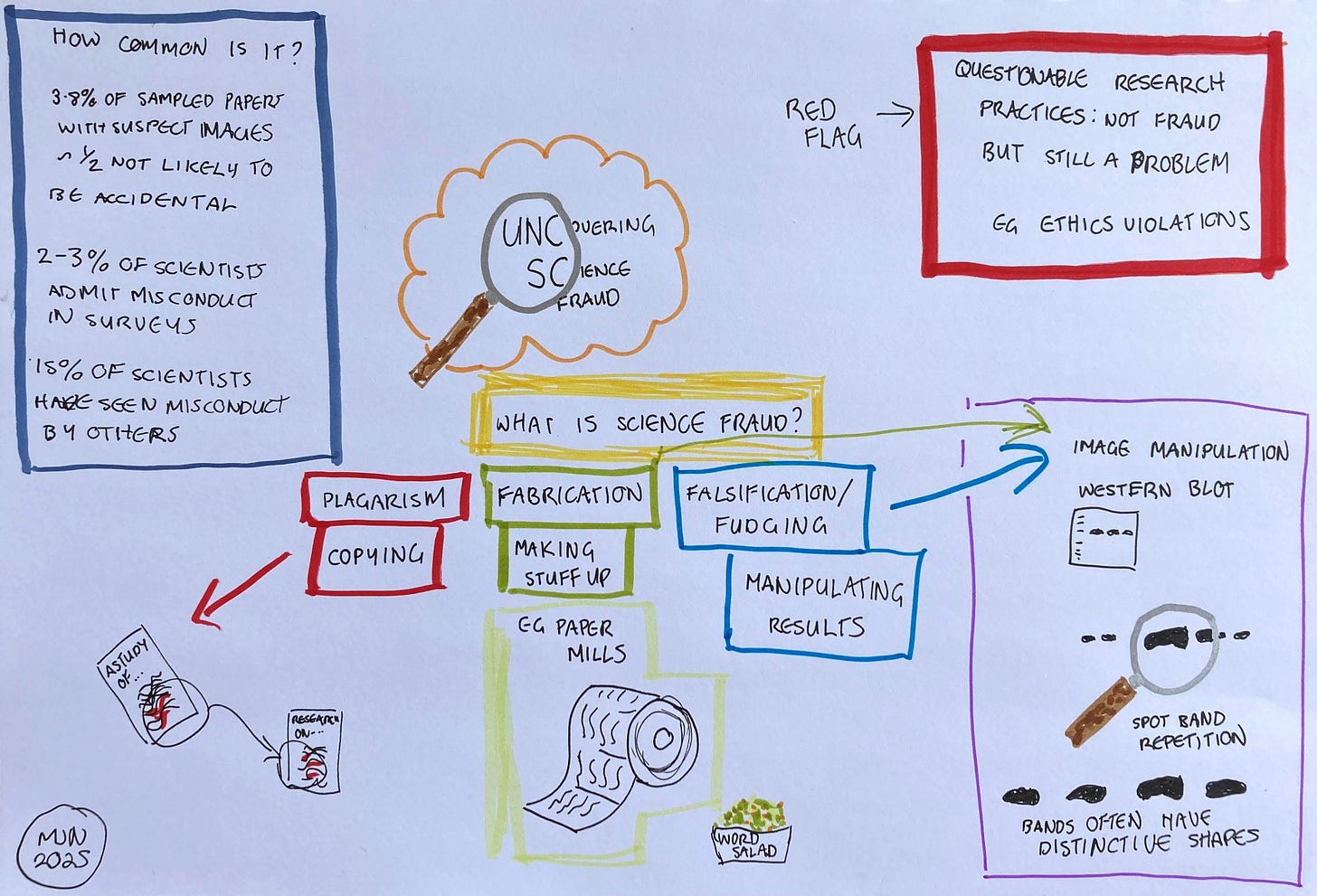 Infographic describing types of science fraud, prevalence and with a hand drawn example of a western blot