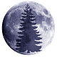 Evergreen and the Moon 