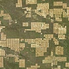 “El Estado paraguayo no reconoce abiertamente la existencia de grupos en aislamiento del pueblo ayoreo”