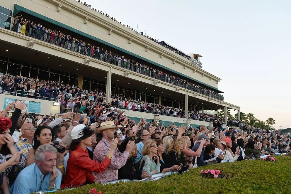 The crowds will be gathering ... it's Pegasus Day at Gulfstream Park! Anchoring the big card is the World Cup, and it has a titanic match-up ... check out this guide below ...