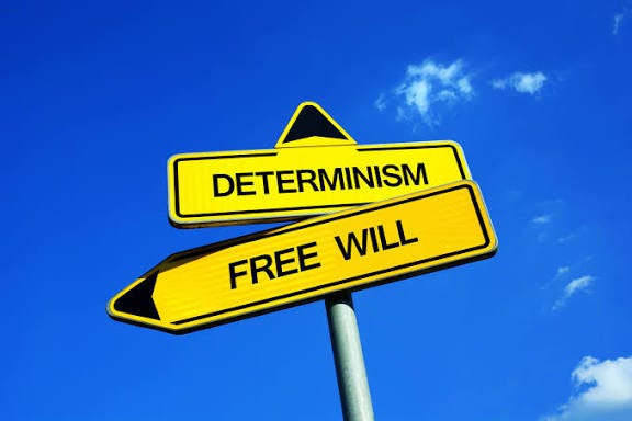 Do We Really Have Free Will, or Are We Just Fancy Coffee Machines?