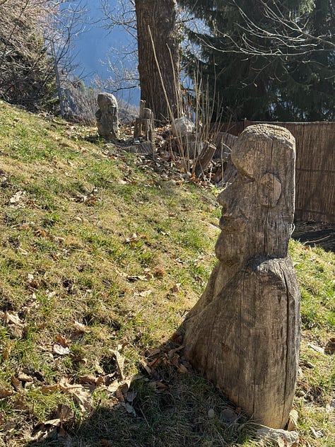 Carved faces in tree stumps