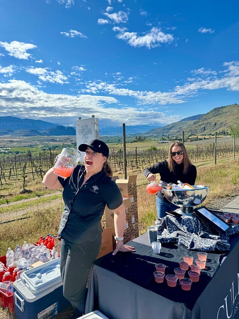 15 wine stops along the route