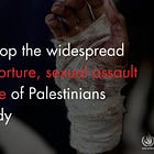 SDE Teiman Exposes Israeli Systemic Rape