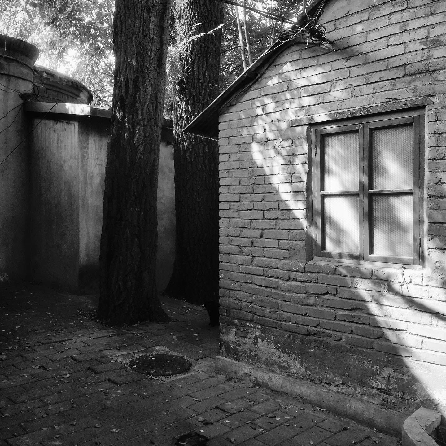 Hidden corner of a hutong in Beijing.
