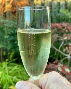 Why, yes, we did enjoy a glass of Spanish Cava with our neighbors.
