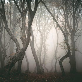 Worldbuilding| Nonet Forest