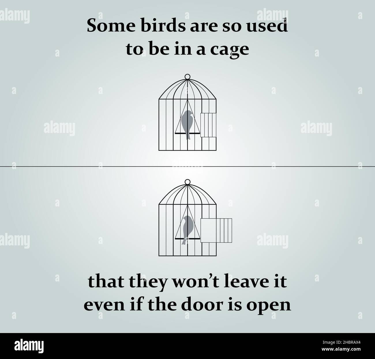 Some birds are so used to be in cage that they won't leave it even if the  door is open Stock Photo - Alamy