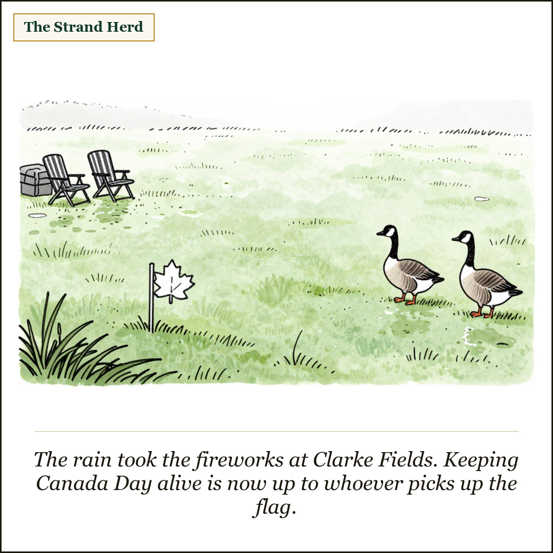 The Strand Herd cartoon: a loose ink-and-wash cartoon of an empty wet suburban park field after rain, a small maple-leaf flag stuck upright in the grass, a couple of folded lawn chairs and a tarp-covered crate off to one side, and two Canada geese standing on the grass under a grey overcast sky. Caption: The rain took the fireworks at Clarke Fields. Keeping Canada Day alive is now up to whoever picks up the flag.
