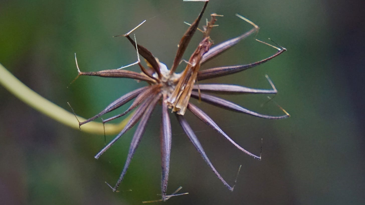 what the dark can teach us