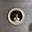 Sonja Hartl's avatar