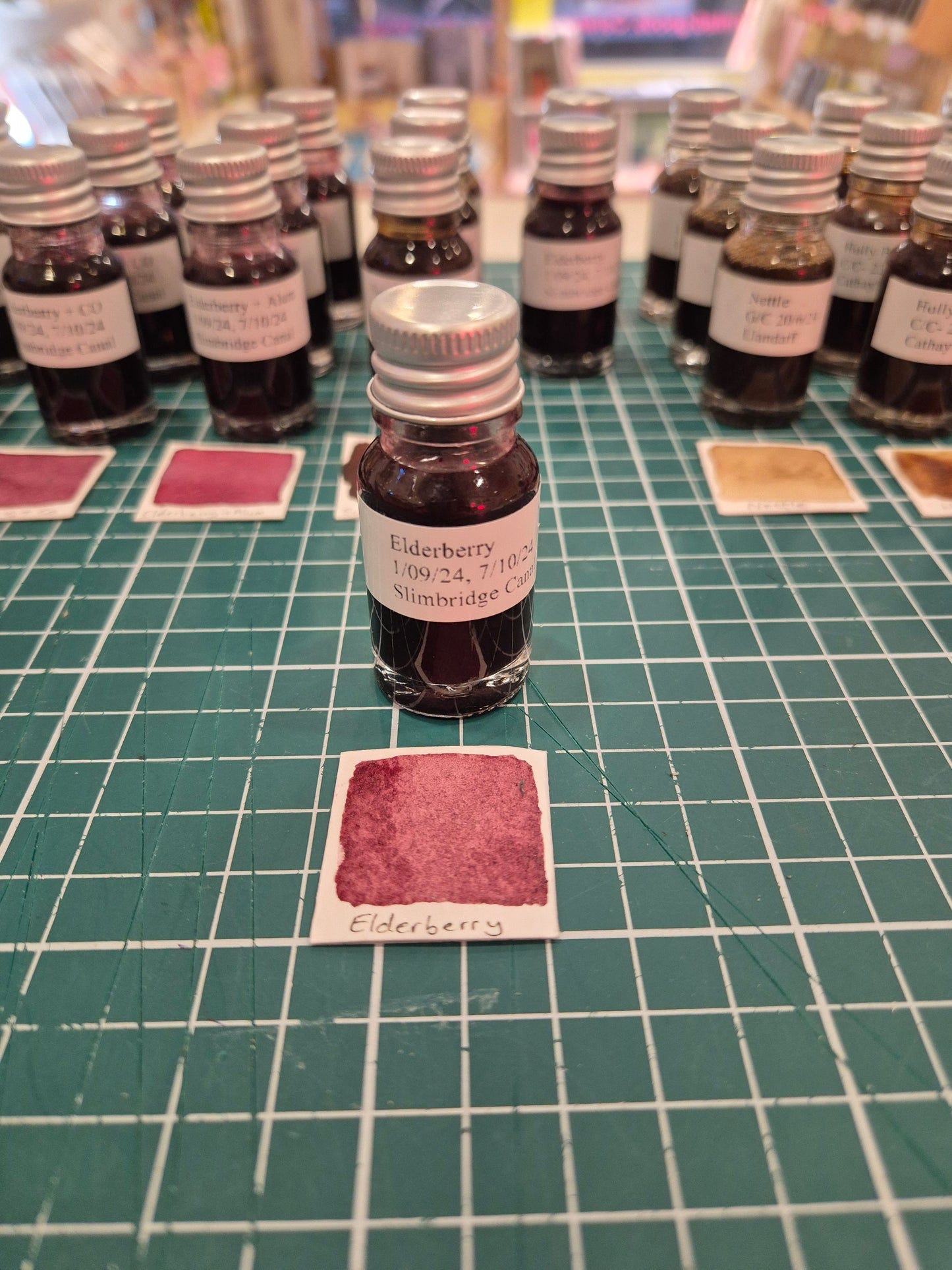 Foraged Natural Inks by Will Valentine!