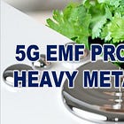 Detox Heavy Metals from the BioWeapon