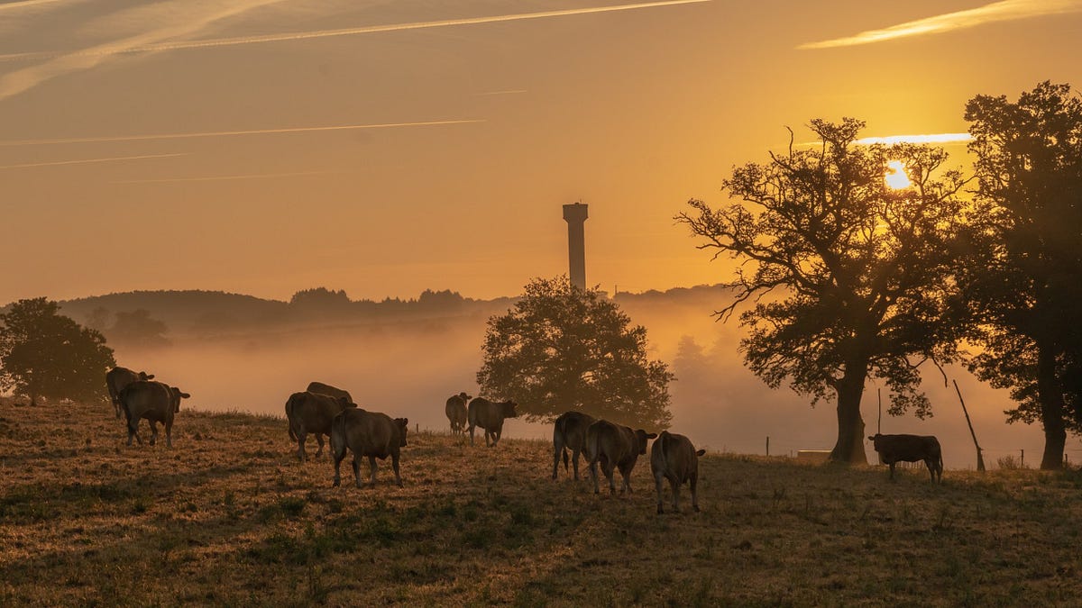 thewinepress.substack.com