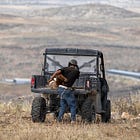 A Dog Named Lucy Beaten. Sheep Burned Alive. Israeli Settlers Are Attacking Palestinians' Animals to Drive Them Off Their Land