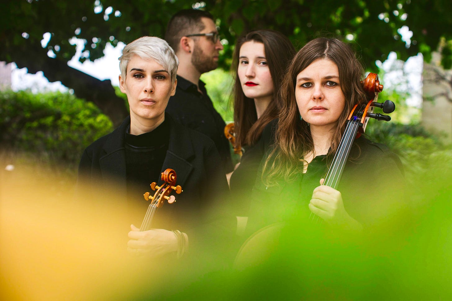 A string quartet