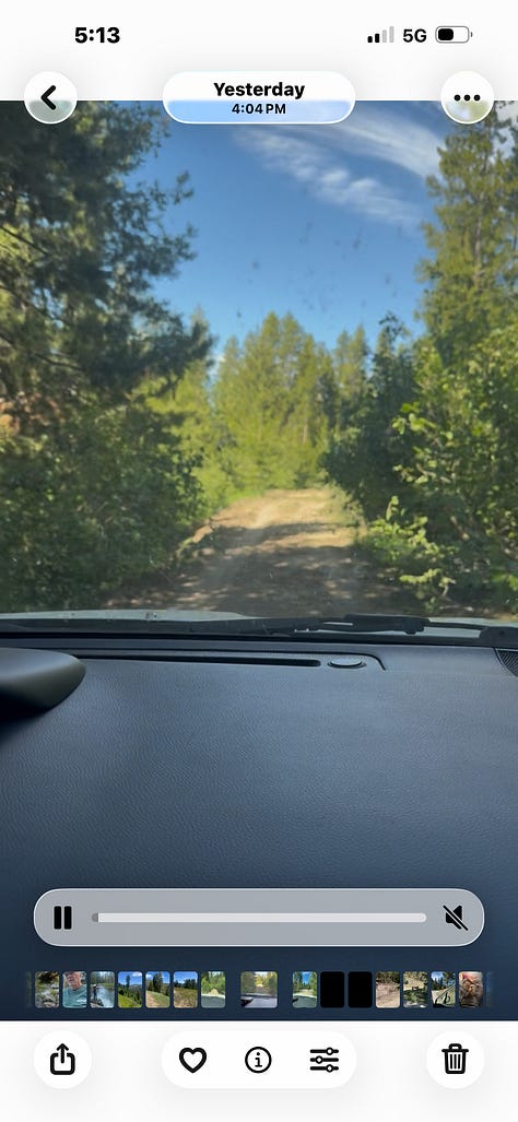 Take the road at the road bend to Horse Creek Pass