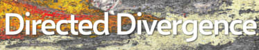 Directed Divergence
