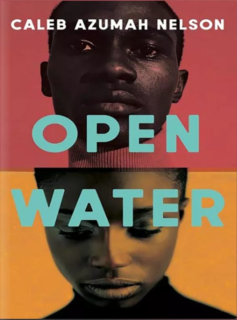 Open Water book cover