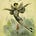 Essays on the Imperial Ballet
